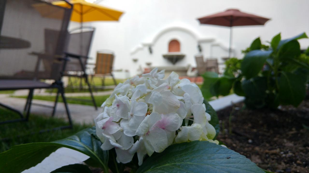 Ixkanul Antigua Hotel Extérieur photo